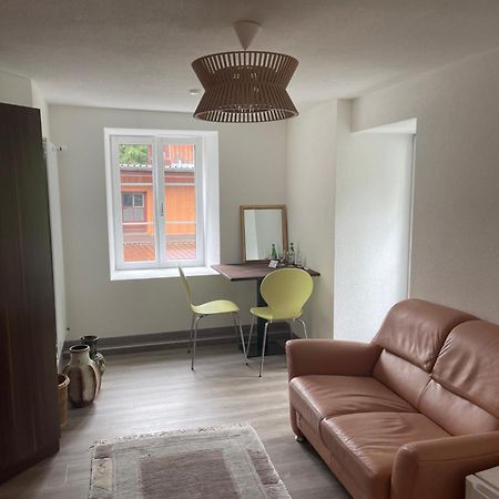 Apartament Haus Alpenhof Wassen Zewnętrze zdjęcie